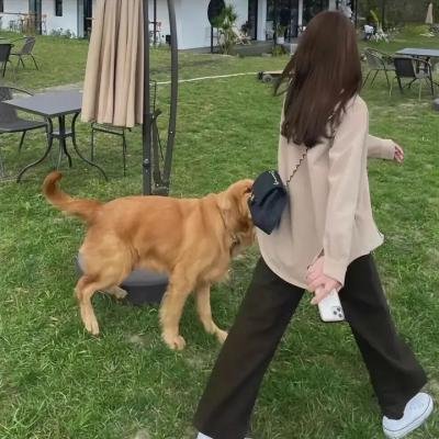 邪神女巫会